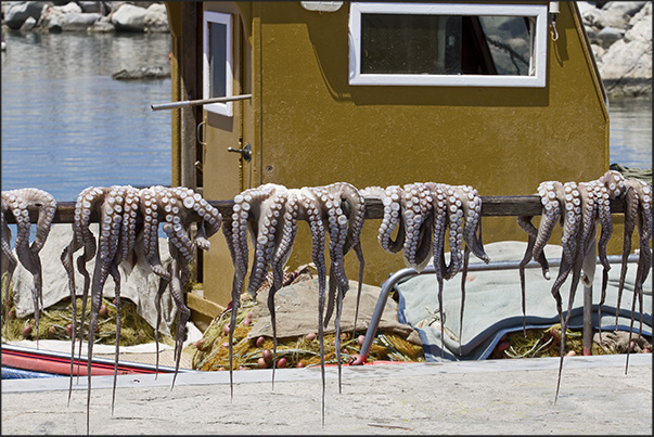 Naoussa Port. The waterfront with restaurants in the fishing area