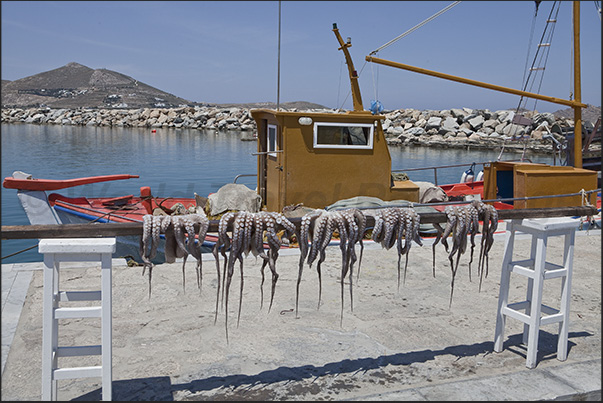 Naoussa Port. The waterfront with restaurants in the fishing area