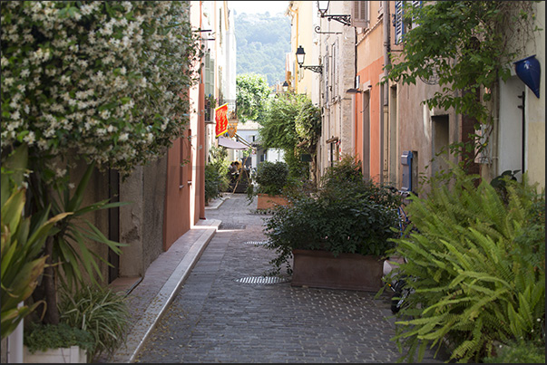 All the streets in the old town are decorated with plants and flowers along the street and on the walls of the houses