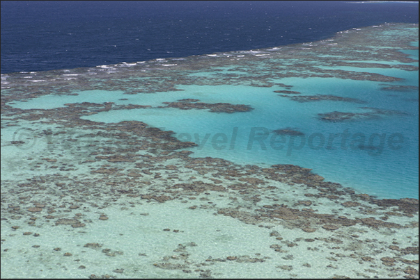 The west side of the Sanganeb reef