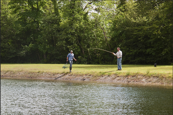 Mount Falcon Estate. Lessons to learn the fly fishing