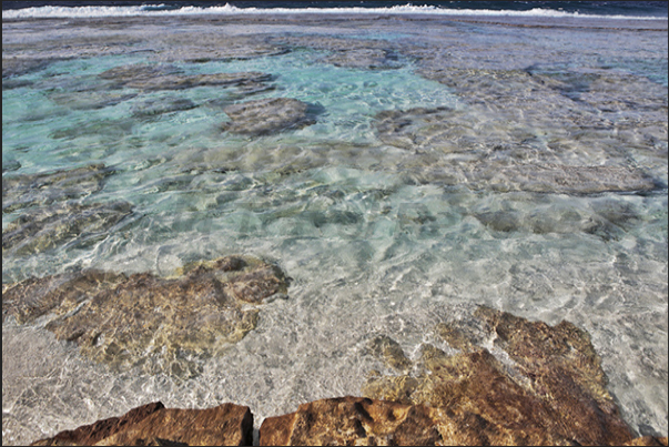 Natural swimming pools on the coral platform that protects the island