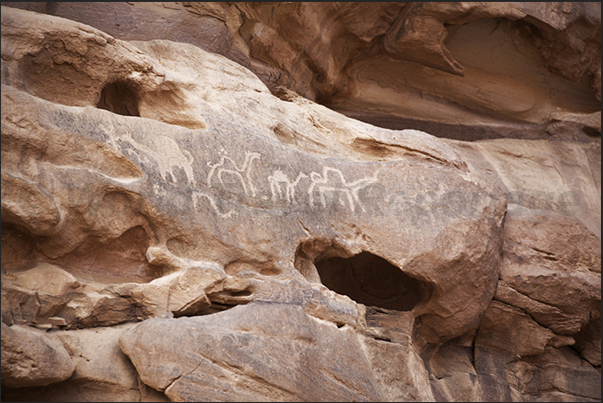 Ancient graphites are visible on the walls of the hidden valleys as this caravan of camels crossing the desert
