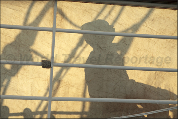 Shadow of a sailor on the sail. The photography, is one of the main hobbies of the passengers aboard the Clipper