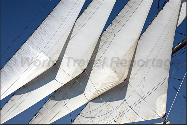 The headsails (jibs) tensioned on the bow.
