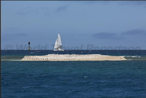 There are many sand banks in the lagoon, some of them are very large and dangerous for the navigation