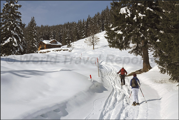 Walk in Rosenlaui Valley with snowshoes. The valley that runs from Meiringen to Grindelwald