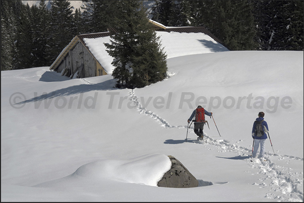 With snowshoes along the Rosenlaui Valley. One of the sports most practiced in the winter in the valleys around Meiringen