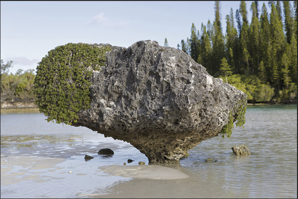 Oro Bay. The nature plays with the elements as in the case of this rock eroded by water and sand move from the tide