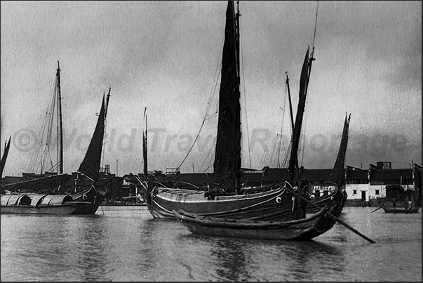 Junks, traditional Chinese boats, in harbor
