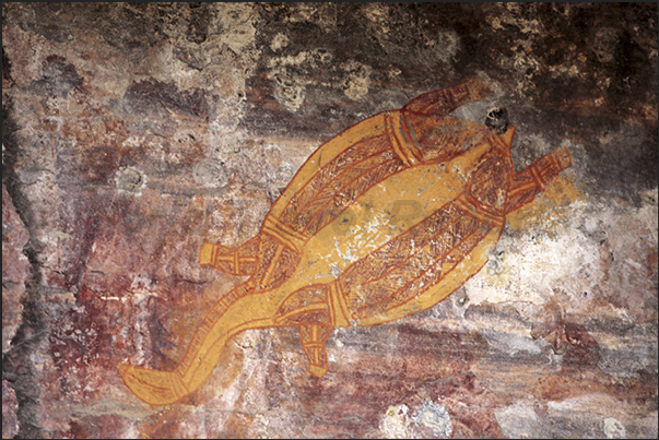 Gumbalanya (Oenpelli). Rock paintings on the Injalak Hill. A turtle