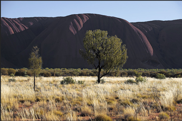 Uluru - Kata Tjuta National Park. Uluru, the sacred mountain for Aboriginal people