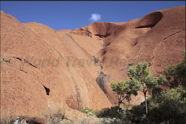 Uluru-Kata Tjuta National Park. The high vertical walls of Uluru