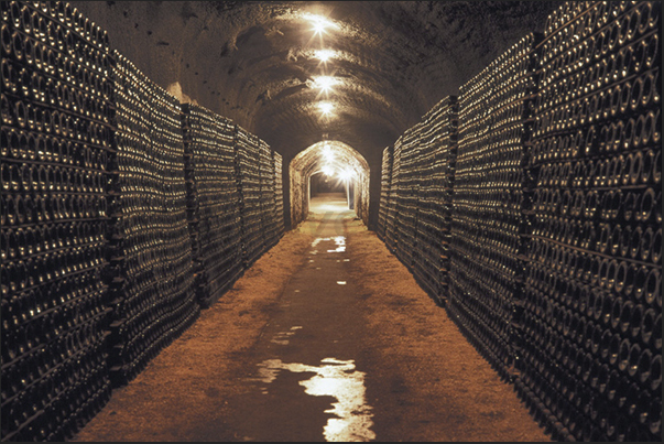 In the Seppelt winery, the ancient gold mines have been turned in cool cellars