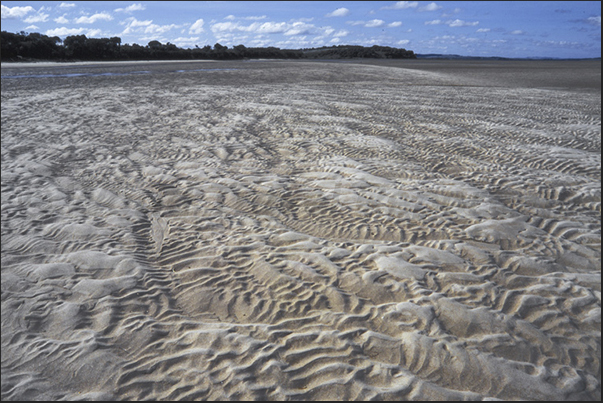 Low tide discovers the sandy bottom of the Inverlock Bay near Melbourne