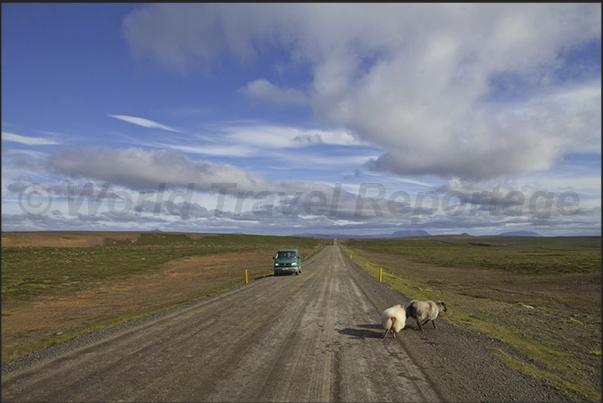 The road that leads from Husavik to the volcanic area of Myvatn