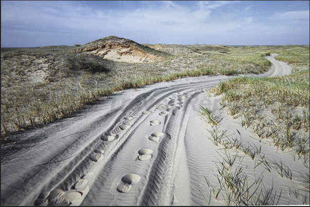 A single paved road runs through the archipelago, all the others roads are sand tracks (4x4 only)