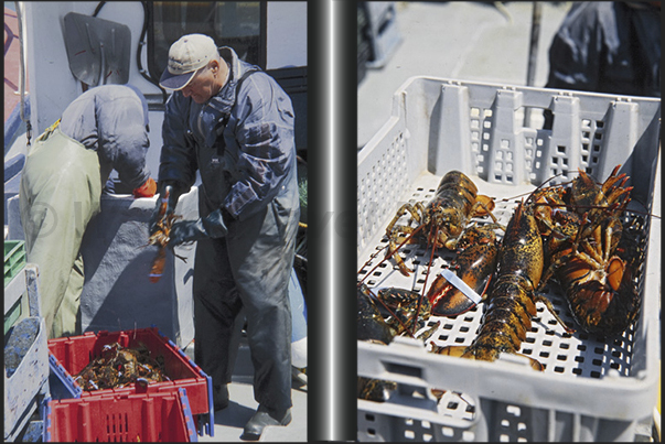 Lobstermen and shellfish, one of the main economic activities of the archipelago