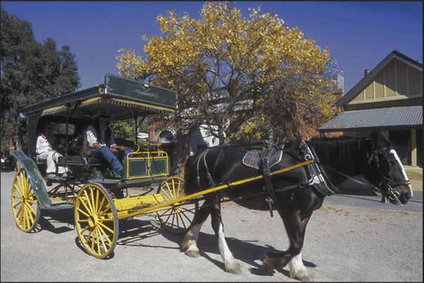 Carriage in the streets of Echuca