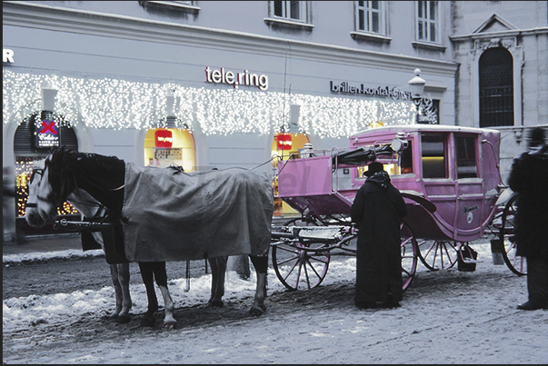 Carriages in the historic center, in a Vienna lit festively for Christmas