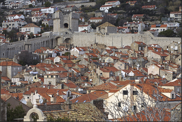 Dubrovnik. The old town