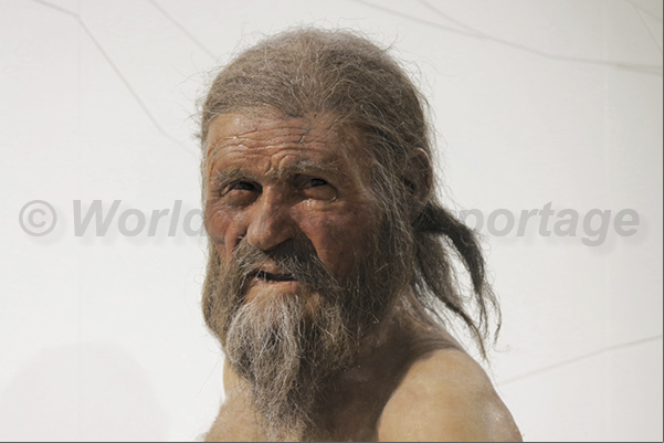 South Tyrol Museum of Archaeology. The reconstruction of the face of Ötzi. The iceman of 5300 years ago