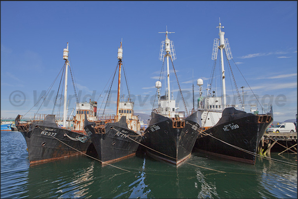 The deposit of old oceanic fishing boats