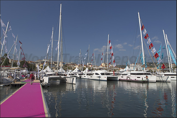 45 catamarans on display in the area in front of the City Hall Square