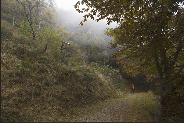 The path in the Bosco del Sorriso is a path of wellness, culture and sport
