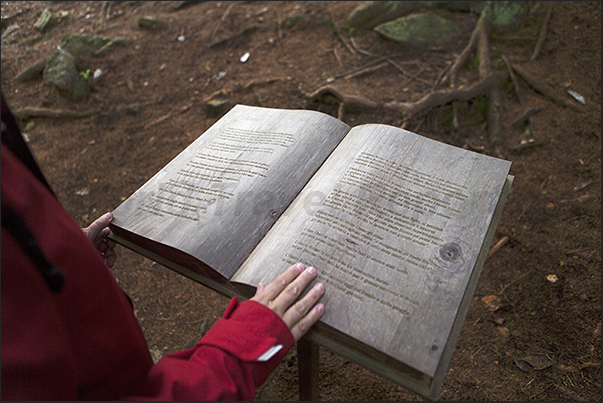 The book with engraved in the wood, the forest stories