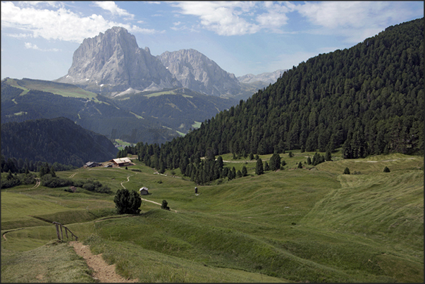 The path from Mount Seceda to Santa Caterina town. On the horizon the Mount Sassolungo