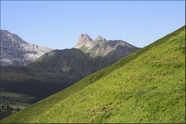 Pastures above the Alpe of Siusi plateau