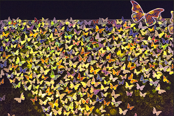 Bright butterflies in Europe Square