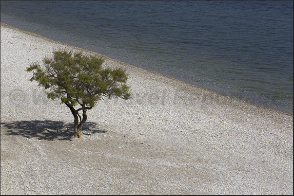 Beaches along the coast of Tserfor Bay