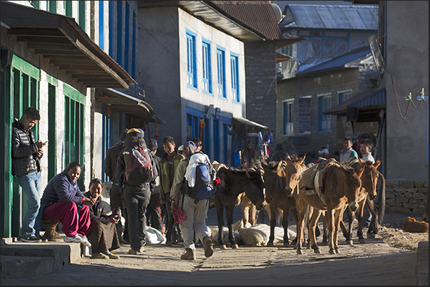 Lukla (2840 m). Mules and yaks are the only means of transport used on the paths of the Himalayan valleys
