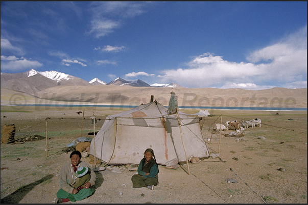 Nomad tent along the road that leads to the city of Leh