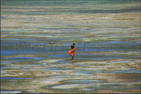 A woman waits, during the low tide, the return of the fishermen