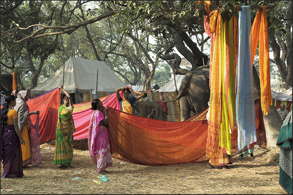 In the morning sun, women dry their Sari (sheeting used as clothing)